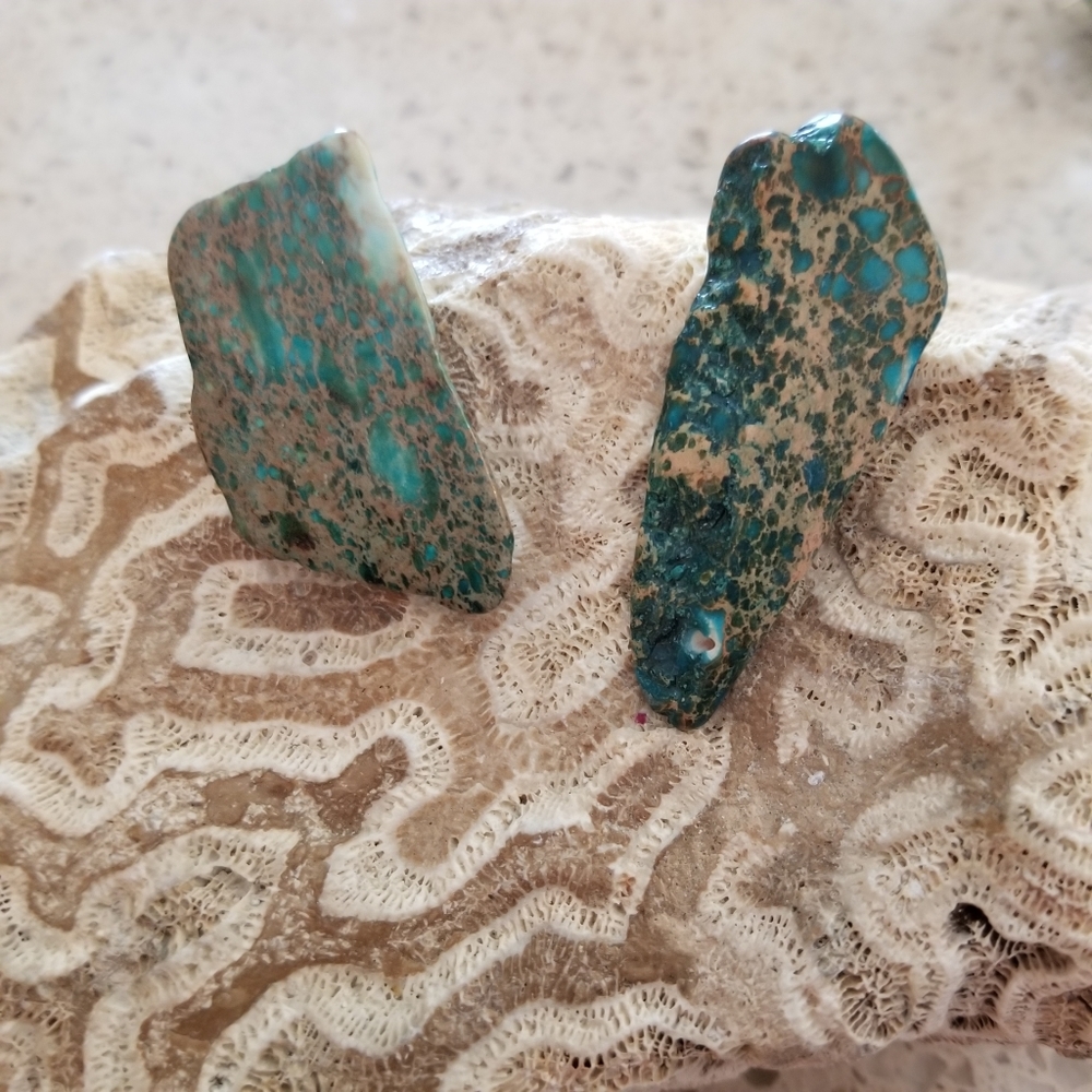 Magnesite Earrings
